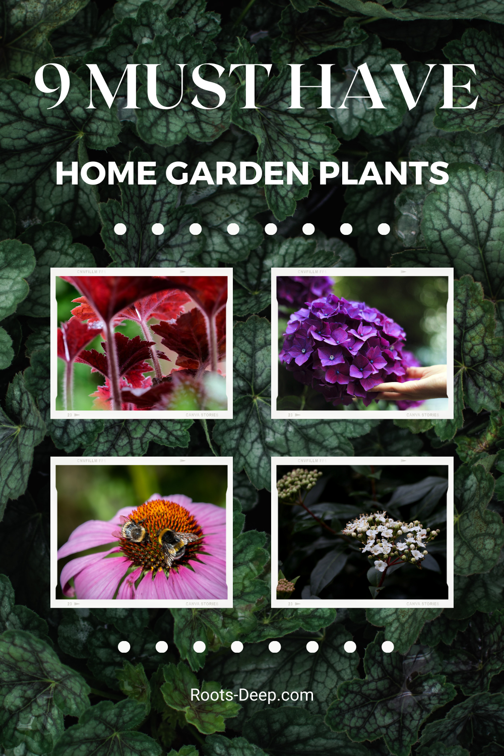 9 Must Have Home Garden Plants